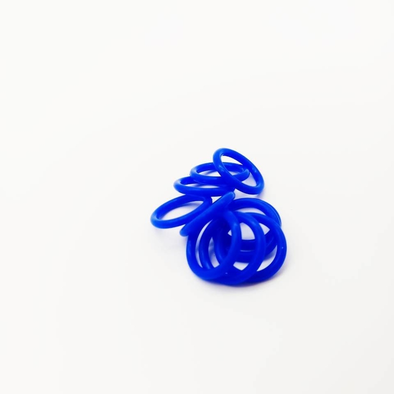Formato di disegno 2D/3D O-Ring NBR FKM HNBR Silicone per sigillatura su misura di grandi dimensioni