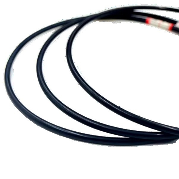 30-90 Shore A EPDM/NBR/FKM/Silicone Colored Big Fluoro O-Ring Seal per compressore d'aria