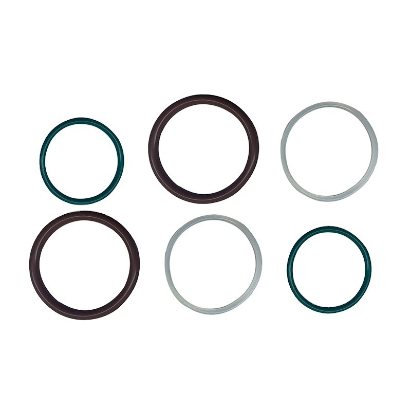 Colori personalizzati ORK FKM O-Rings sigilli per le applicazioni di sigillamento del cliente