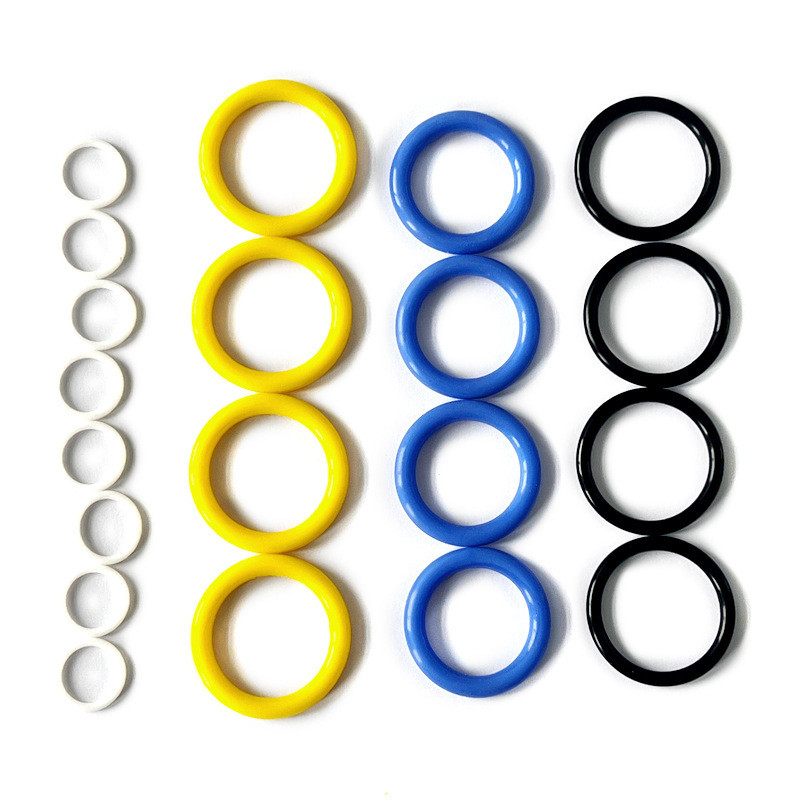 FKM NBR O-Ring/Seals personalizzati in vari colori per applicazioni industriali