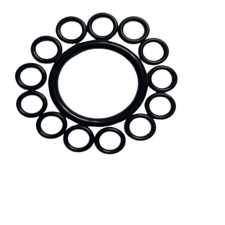 FKM NBR O-Ring/Seals personalizzati in vari colori per applicazioni industriali